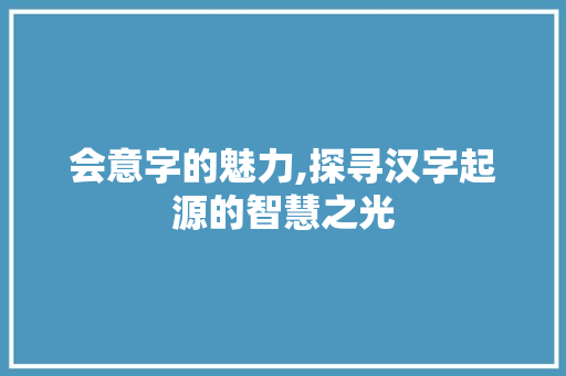 会意字的魅力,探寻汉字起源的智慧之光