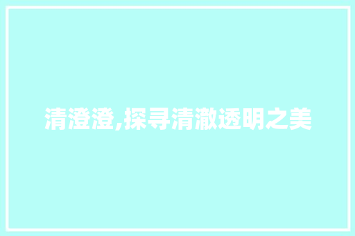 清澄澄,探寻清澈透明之美