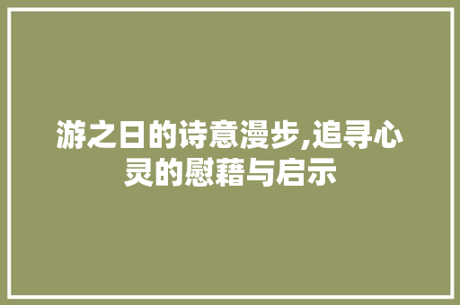游之日的诗意漫步,追寻心灵的慰藉与启示