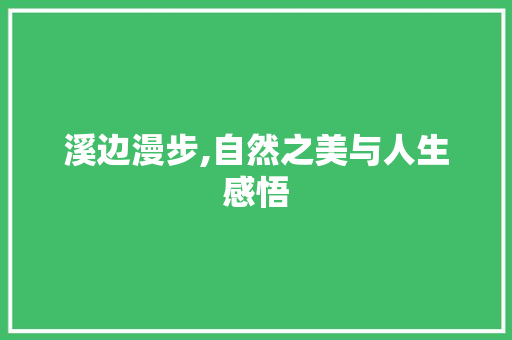 溪边漫步,自然之美与人生感悟