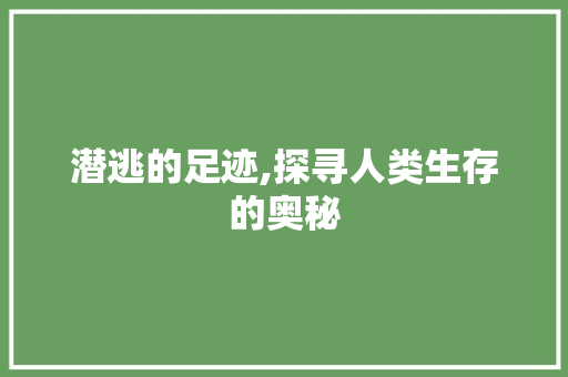 潜逃的足迹,探寻人类生存的奥秘