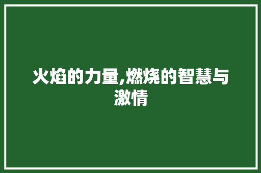 火焰的力量,燃烧的智慧与激情