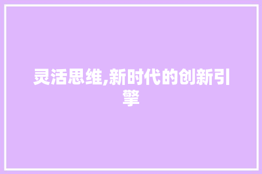 灵活思维,新时代的创新引擎