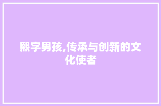熙字男孩,传承与创新的文化使者