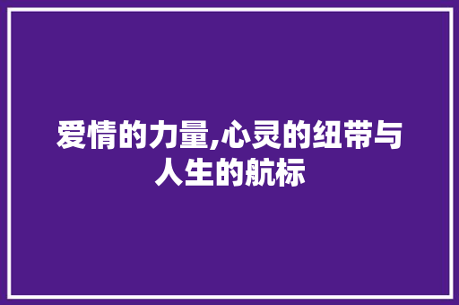 爱情的力量,心灵的纽带与人生的航标