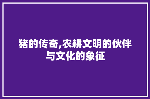 猪的传奇,农耕文明的伙伴与文化的象征