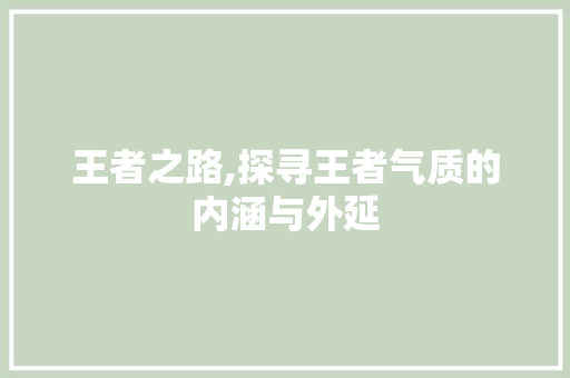 王者之路,探寻王者气质的内涵与外延 工作总结