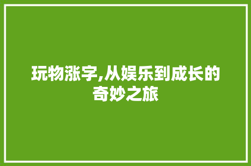 玩物涨字,从娱乐到成长的奇妙之旅