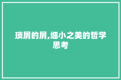 琐屑的屑,细小之美的哲学思考