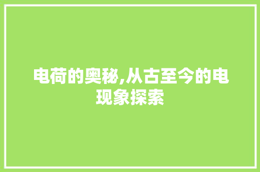 电荷的奥秘,从古至今的电现象探索