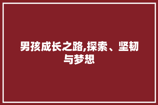 男孩成长之路,探索、坚韧与梦想