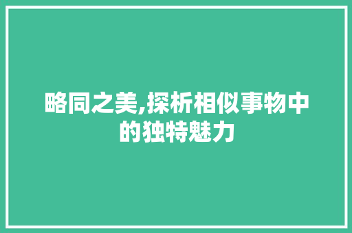 略同之美,探析相似事物中的独特魅力