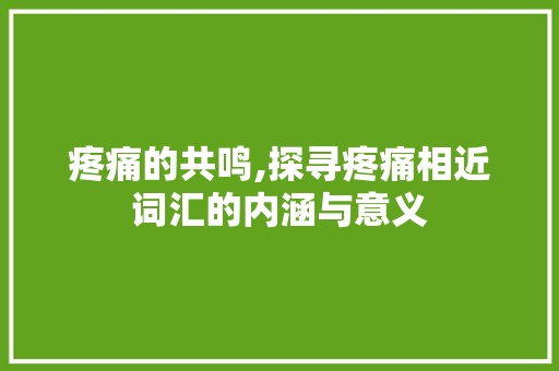 疼痛的共鸣,探寻疼痛相近词汇的内涵与意义