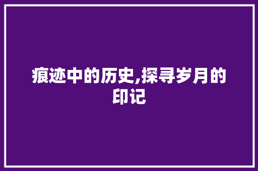 痕迹中的历史,探寻岁月的印记