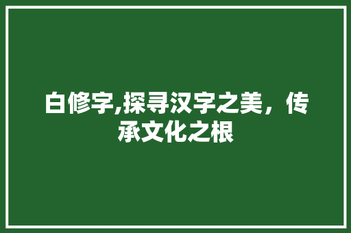 白修字,探寻汉字之美，传承文化之根