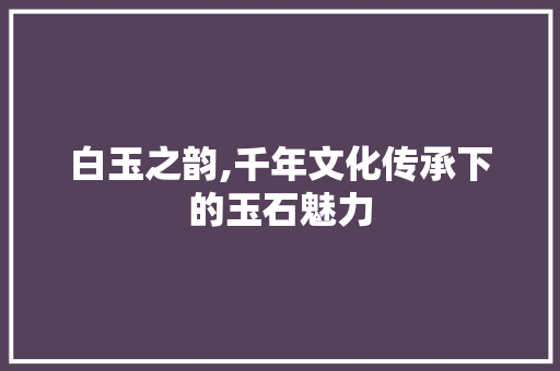 白玉之韵,千年文化传承下的玉石魅力 工作计划