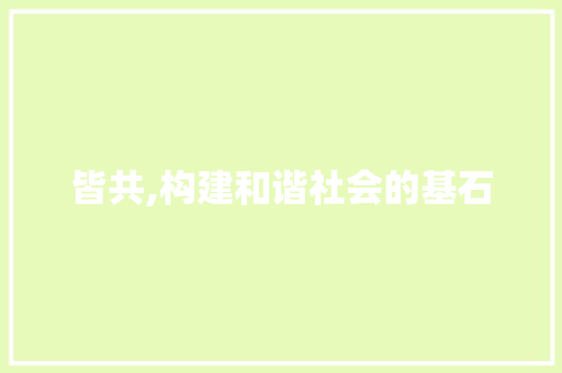 皆共,构建和谐社会的基石