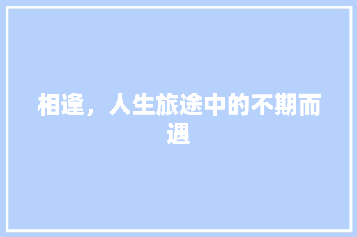相逢，人生旅途中的不期而遇