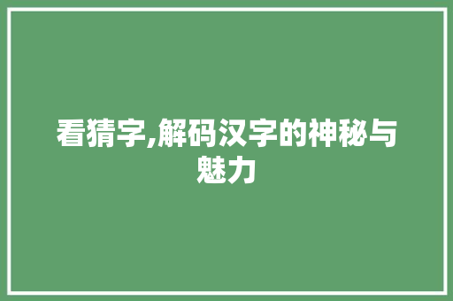 看猜字,解码汉字的神秘与魅力