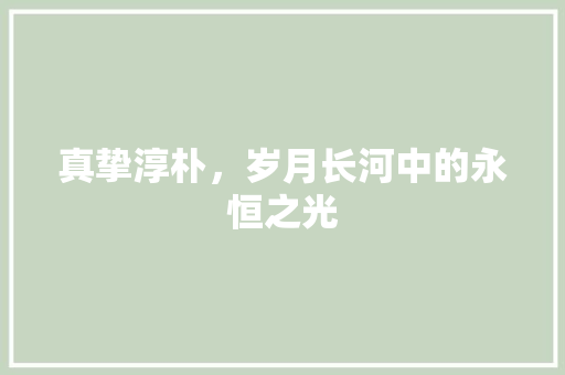 真挚淳朴，岁月长河中的永恒之光 诗词鉴赏