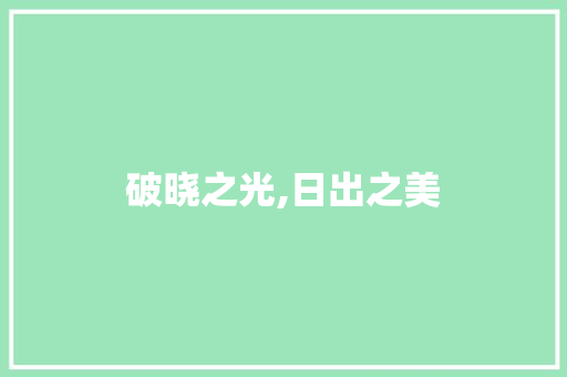 破晓之光,日出之美 成语大全