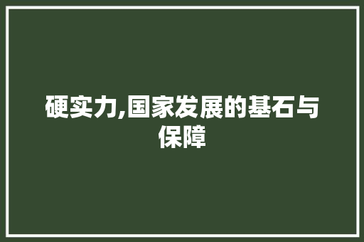 硬实力,国家发展的基石与保障