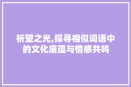 祈望之光,探寻相似词语中的文化底蕴与情感共鸣