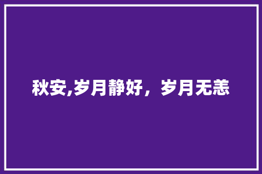 秋安,岁月静好，岁月无恙