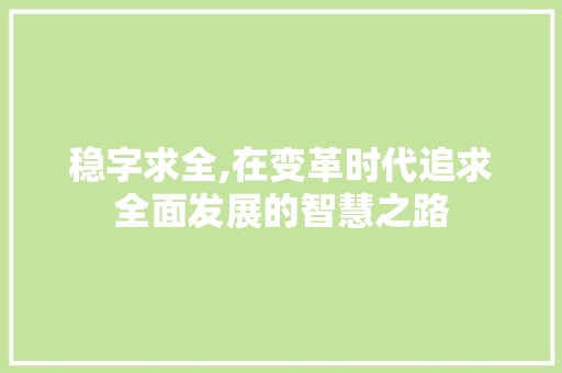 稳字求全,在变革时代追求全面发展的智慧之路