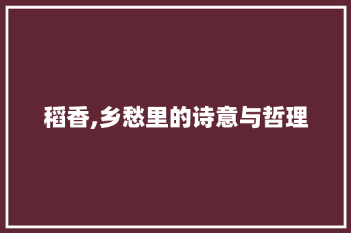 稻香,乡愁里的诗意与哲理
