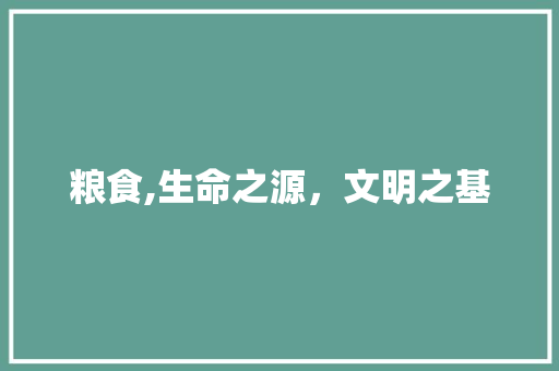 粮食,生命之源，文明之基