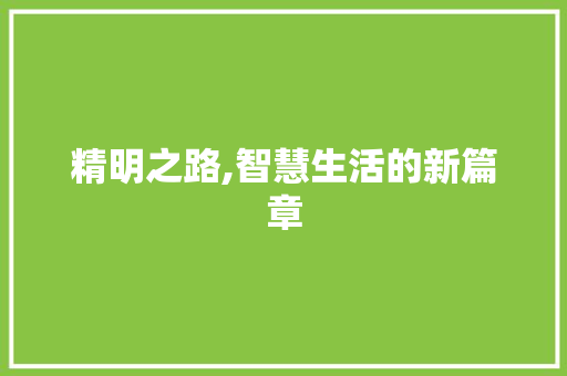 精明之路,智慧生活的新篇章