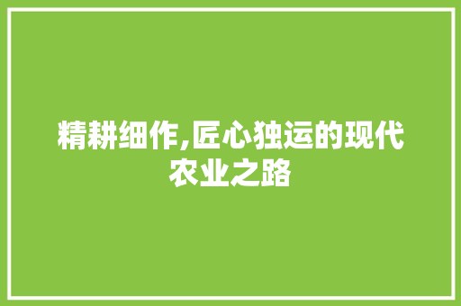 精耕细作,匠心独运的现代农业之路
