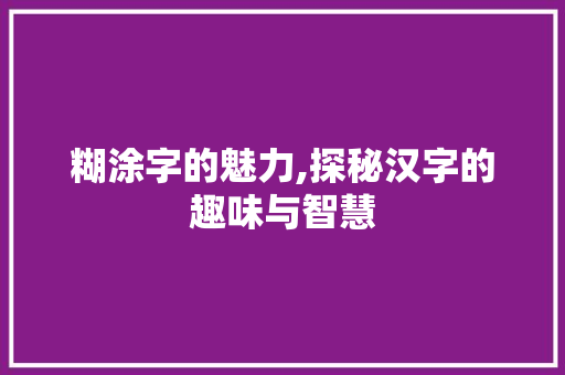 糊涂字的魅力,探秘汉字的趣味与智慧
