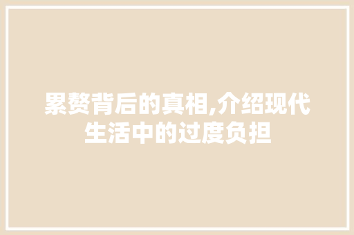 累赘背后的真相,介绍现代生活中的过度负担