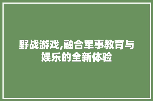 野战游戏,融合军事教育与娱乐的全新体验