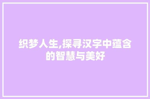织梦人生,探寻汉字中蕴含的智慧与美好