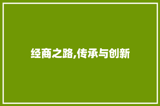 经商之路,传承与创新