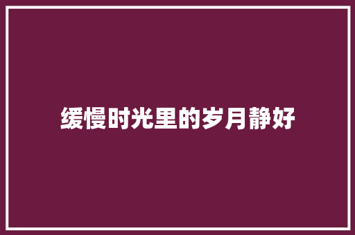 缓慢时光里的岁月静好