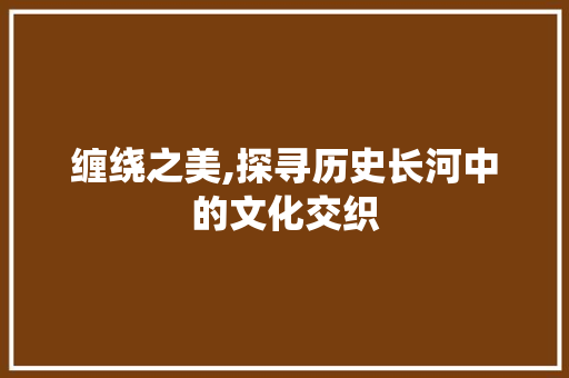 缠绕之美,探寻历史长河中的文化交织