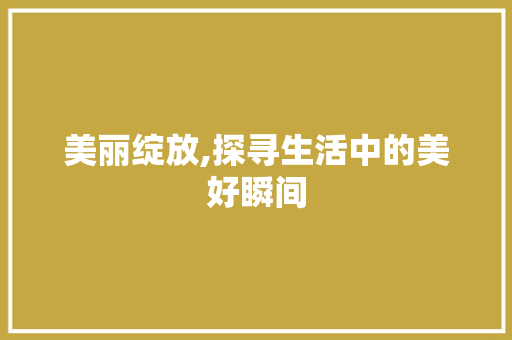 美丽绽放,探寻生活中的美好瞬间 工作总结
