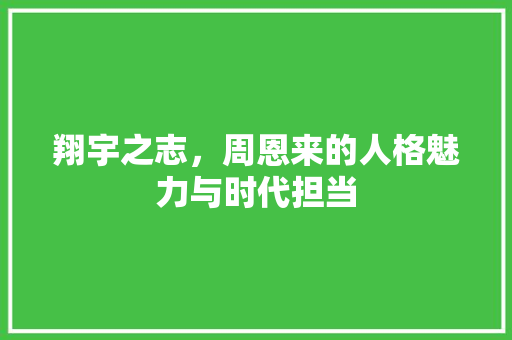 翔宇之志，周恩来的人格魅力与时代担当 工作计划