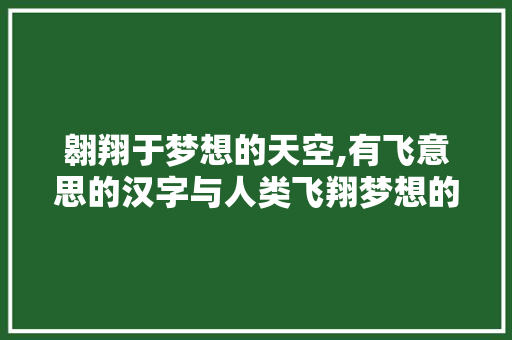 翱翔于梦想的天空,有飞意思的汉字与人类飞翔梦想的交织