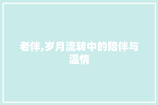 老伴,岁月流转中的陪伴与温情 诗词鉴赏