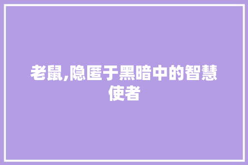 老鼠,隐匿于黑暗中的智慧使者 个人简历