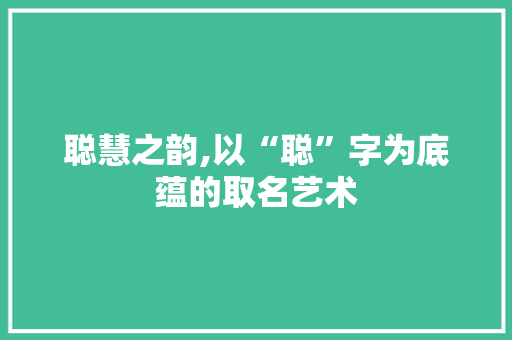 聪慧之韵,以“聪”字为底蕴的取名艺术