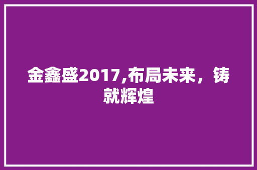金鑫盛2017,布局未来，铸就辉煌