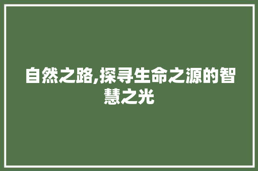 自然之路,探寻生命之源的智慧之光 诗词鉴赏