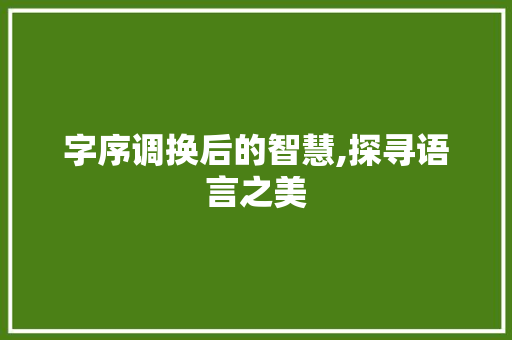 字序调换后的智慧,探寻语言之美