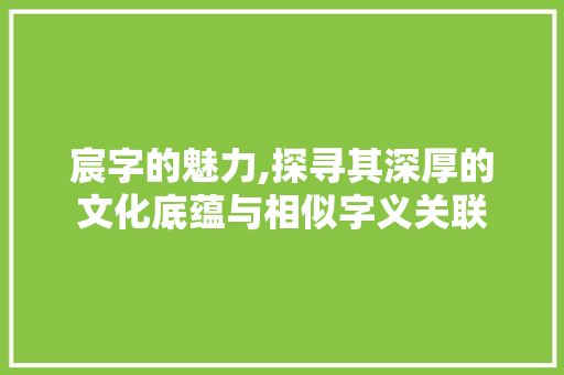 宸字的魅力,探寻其深厚的文化底蕴与相似字义关联 成语大全